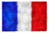 Ritratto di Madrelingua francese1